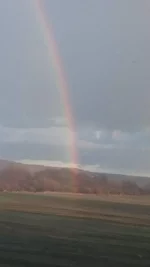 2015-11-30 15.53.31.webp 2015-11-30 15.53.31.webp