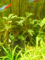  003.webp