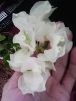 IMG_20151008_163636.webp