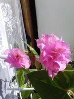IMG_20150426_160001.webp