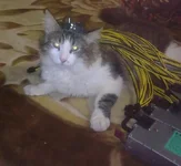 0413_.webp