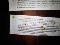 IMG_20151125_182559.webp