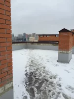 2E8TbTprYoM.webp