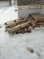 FLQhO8VbT8s.webp