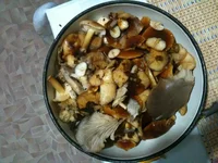 IMG_0886[1].webp