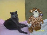 012.webp
