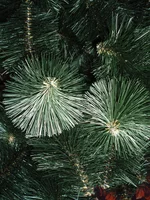 PC206010.webp