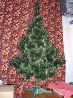 PC206011.jpg