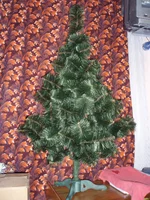 PC206011.webp