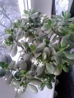 lAcyQBeY5fk.webp