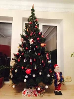 image.webp