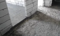 20151216_115027.webp
