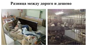 2waWaTfu_s0.webp
