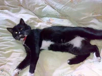 201220121928.webp