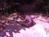 IMG_20150115_095149.webp