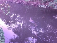 IMG_20150115_082242.webp