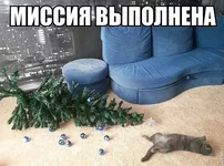  выполнена.webp