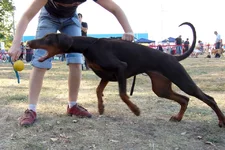 12042084_932750790130041_1452491760_n.webp