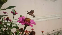 DSC_0129.jpg