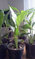 2015-12-14 21.52.12.webp