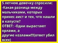 image (21).webp