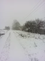 11111.webp