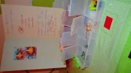 IMG_6526[1].webp