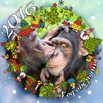  год!.webp