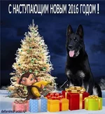 FB_IMG_1451571703020.webp