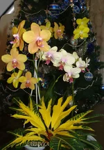 DSC09405_.webp