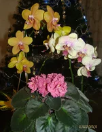 DSC09428_.webp
