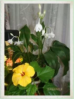 DSC09367_1.webp