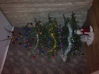 20160101_020139.webp