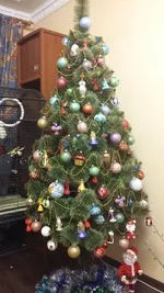tree1.webp
