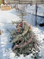 IMG_20160101_112551.webp