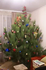002.webp