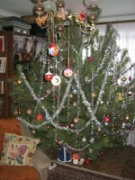 IMG_5064.webp