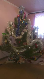 IMAG1375.webp