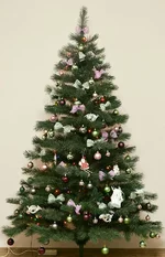 _1.webp