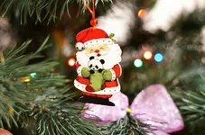 _3.webp
