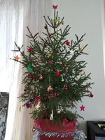 .webp