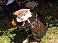 PICT0145.webp