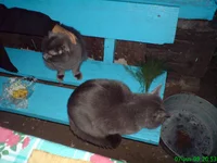 DSC02302.webp