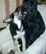 PIC_0031-1.webp