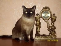 .webp