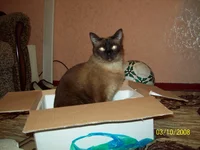 100_0451.webp