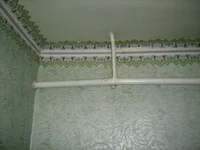 IMG_5652.webp