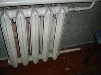IMG_5653.webp