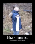 _эльф.webp
