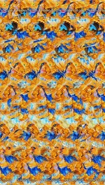 Follow the Butterfly.webp